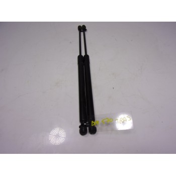 AMORTIGUADORES MALETERO / PORTON 844308661R 