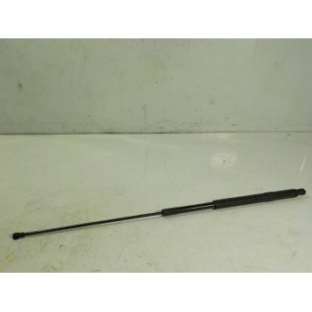 AMORTIGUADOR CAPOT 792529 