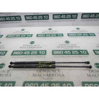 AMORTIGUADORES MALETERO / PORTON 