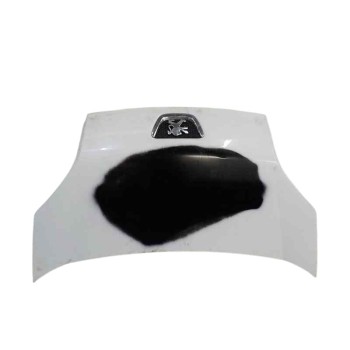 CAPOT DELANTERO 7901Q0 