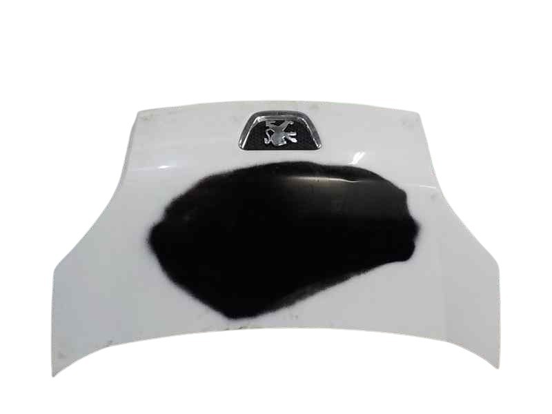 Recambio de capot delantero para peugeot bipper 1.4 hdi referencia OEM IAM 7901Q0  