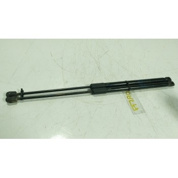 AMORTIGUADORES MALETERO / PORTON 39021480 1044640345N