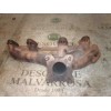 Recambio de colector escape para volkswagen polo berlina (6n1) 1.9 diesel referencia OEM IAM   
