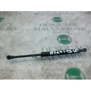 AMORTIGUADORES MALETERO / PORTON 