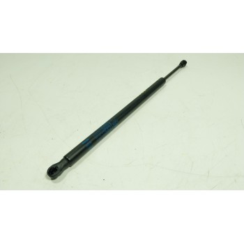 AMORTIGUADORES MALETERO / PORTON 51479459851 5147945985103 