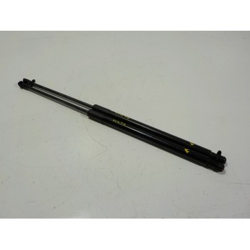 AMORTIGUADORES MALETERO / PORTON 9813913880 9813913880 