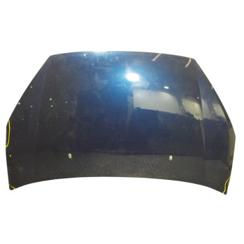 CAPOT DELANTERO 1569486 