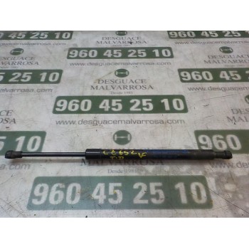 AMORTIGUADORES MALETERO / PORTON 51247250308 