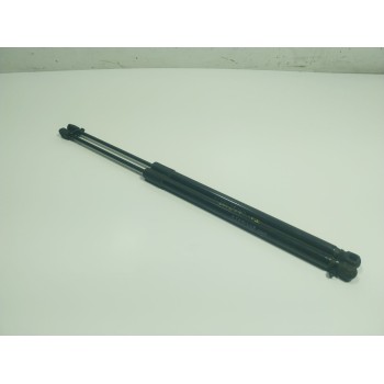 AMORTIGUADORES MALETERO / PORTON 9817054180 9817054180 