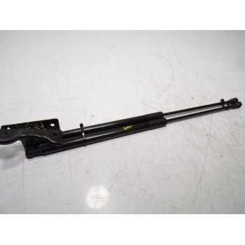 AMORTIGUADORES MALETERO / PORTON 9813913880 9813913880 