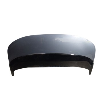 CAPOT DELANTERO 10A823031C 10A854700C