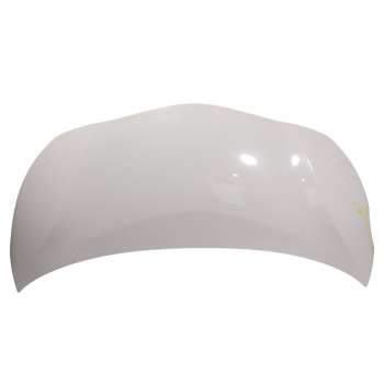 CAPOT DELANTERO 533010H071 