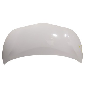 CAPOT DELANTERO 533010H071 