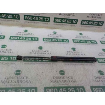 AMORTIGUADORES MALETERO / PORTON 13258179 