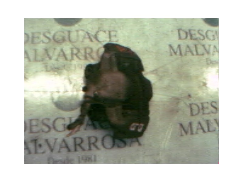 Recambio de pinza freno delantera derecha para renault 19 hatchback (b/c53) 1.9 diesel referencia OEM IAM   