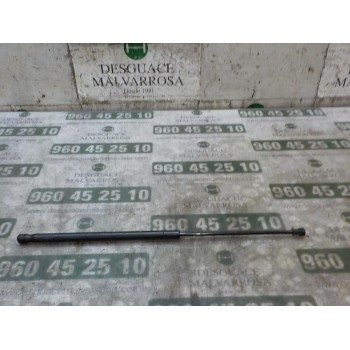 AMORTIGUADORES MALETERO / PORTON 