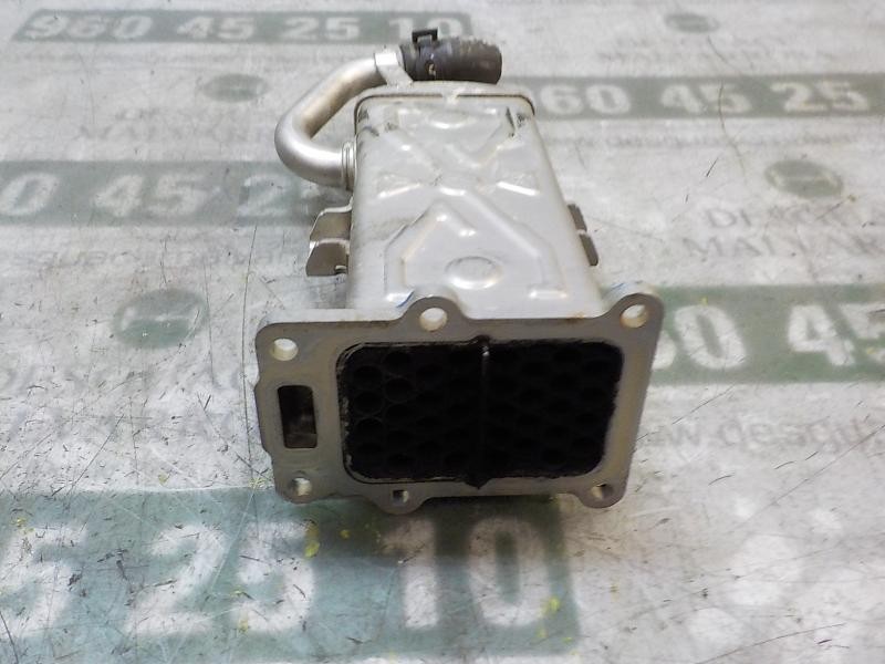 Recambio de enfriador egr para seat leon (1p1) reference copa referencia OEM IAM 03L131512BJ  