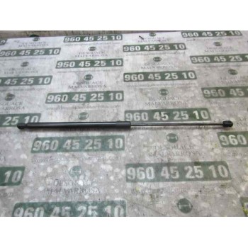 AMORTIGUADORES MALETERO / PORTON 