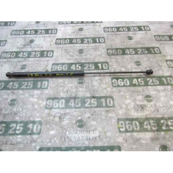 AMORTIGUADORES MALETERO / PORTON 