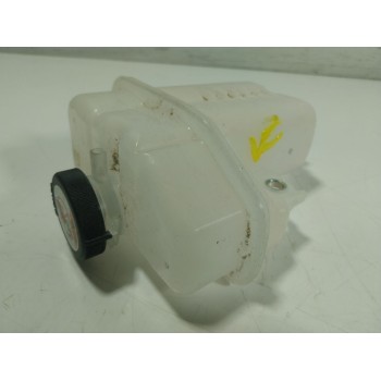 DEPOSITO EXPANSION G910G42010 