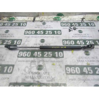 AMORTIGUADORES MALETERO / PORTON 