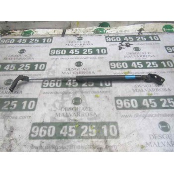 AMORTIGUADORES MALETERO / PORTON 