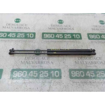 AMORTIGUADORES MALETERO / PORTON 51785412 