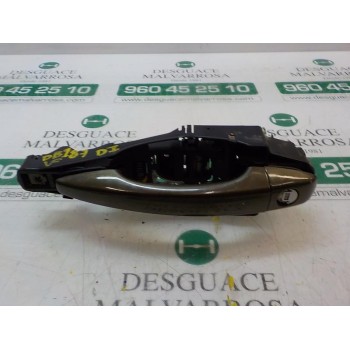 MANETA EXTERIOR DELANTERA IZQUIERDA 9101LW 