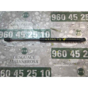 AMORTIGUADORES MALETERO / PORTON 