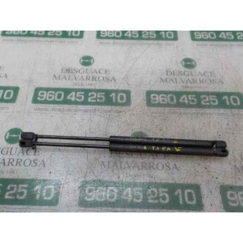 AMORTIGUADORES MALETERO / PORTON 