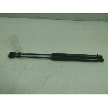 AMORTIGUADORES MALETERO / PORTON 904502915R 