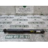 Recambio de amortiguador trasero derecho para citroën c3 exclusive referencia OEM IAM 9801739480  
