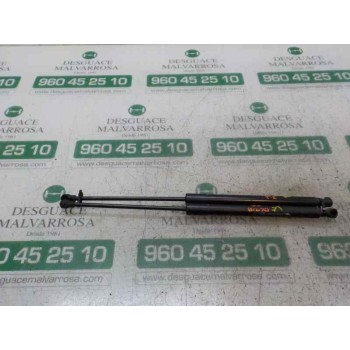 AMORTIGUADORES MALETERO / PORTON 