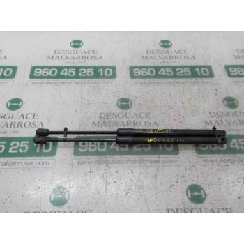 AMORTIGUADORES MALETERO / PORTON 904510001R 