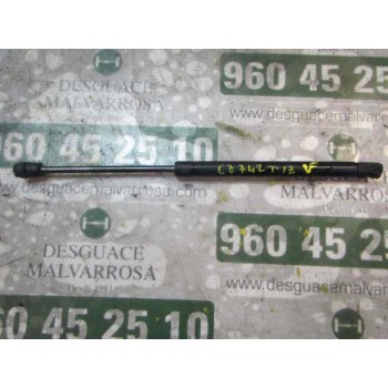 AMORTIGUADORES MALETERO / PORTON 