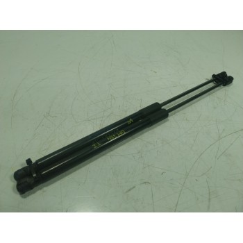 AMORTIGUADORES MALETERO / PORTON 844300009R 844300009R 