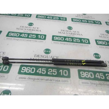 AMORTIGUADORES MALETERO / PORTON 