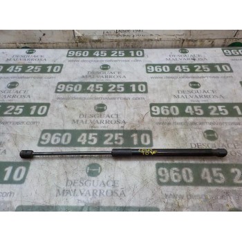 AMORTIGUADORES MALETERO / PORTON 