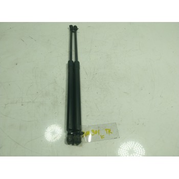 AMORTIGUADORES MALETERO / PORTON 904511213R 90451507R 