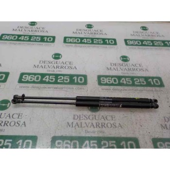 AMORTIGUADORES MALETERO / PORTON 51785412 