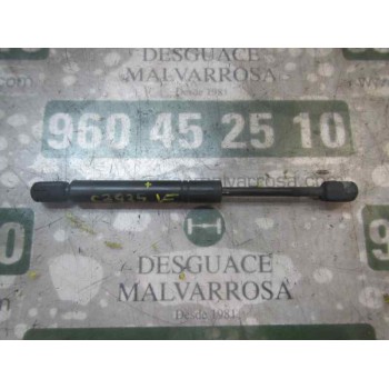 AMORTIGUADORES MALETERO / PORTON 