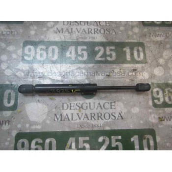 AMORTIGUADORES MALETERO / PORTON 