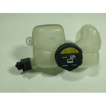 DEPOSITO EXPANSION 31686041 313384 