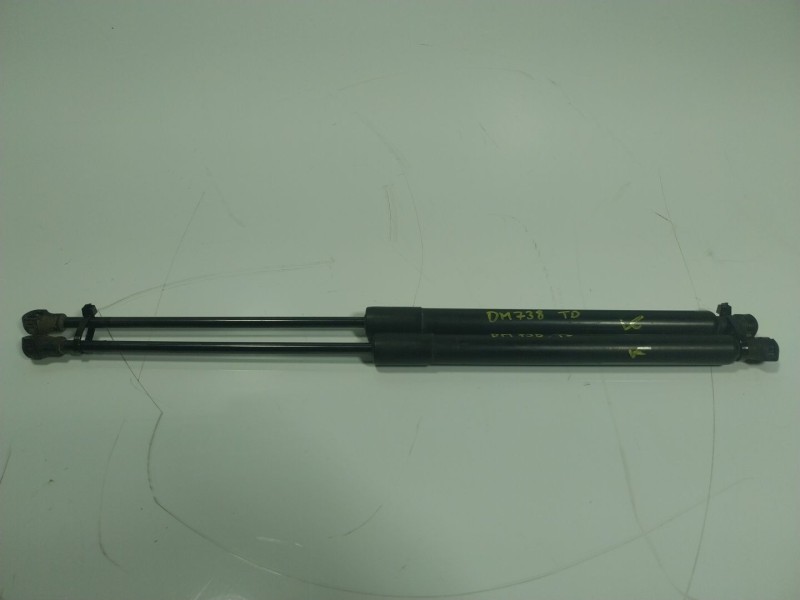 Recambio de amortiguadores maletero / porton para citroën c3 1.1 referencia OEM IAM 8731T9 968373980 