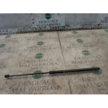 AMORTIGUADORES MALETERO / PORTON 