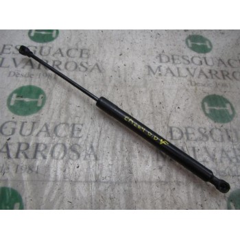 AMORTIGUADORES MALETERO / PORTON 