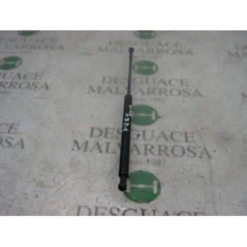 AMORTIGUADORES MALETERO / PORTON 