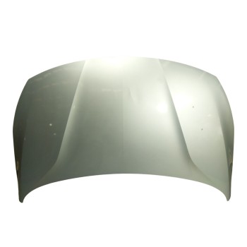 CAPOT DELANTERO 39054067 