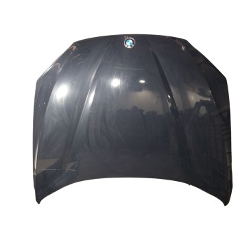 CAPOT DELANTERO 41002993151 