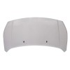 Recambio de capot delantero para ford transit connect v408 furgoneta/monovolumen 1.5 tdci referencia OEM IAM   